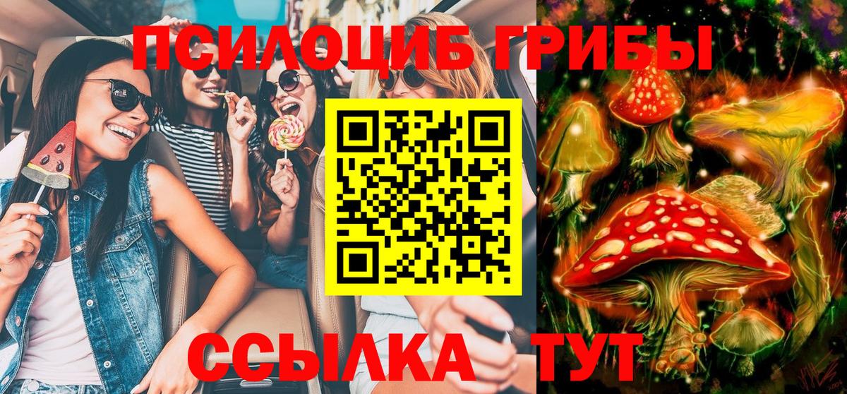 Псилоцибиновые грибы Cubensis Ступино